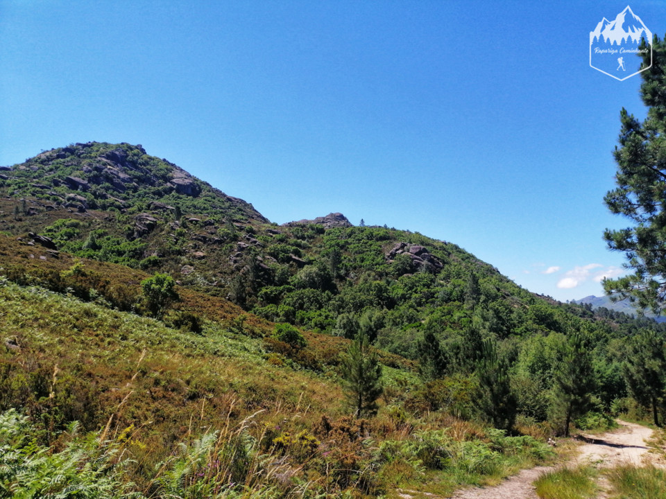 Photo_1598340930196.jpg Photo_1598340930196.jpg