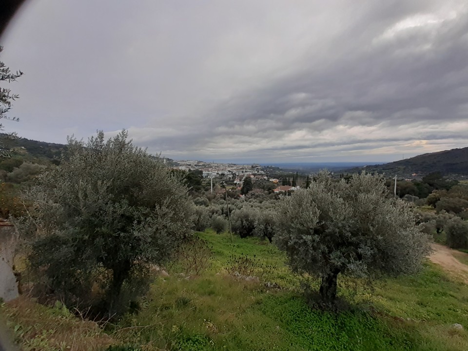 Bonfim. Foto original. 2021. 01. jpg