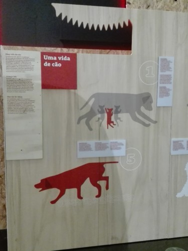 IMG_20190120_131138 (1).jpg IMG_20190120_131138 (1).jpg