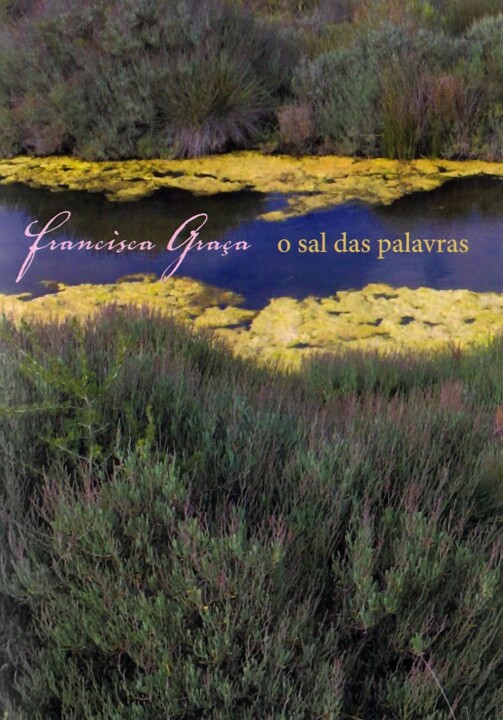 o sal das palavras.jpg