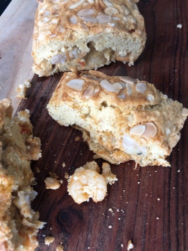 IMG_3851.jpg IMG_3851.jpg