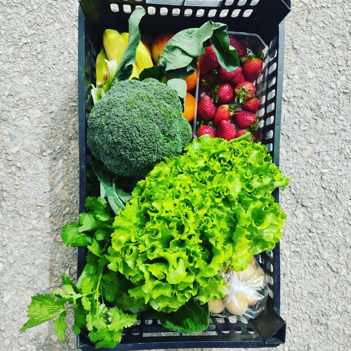 434189374_801217875368958_5091950898189841196_n.jp