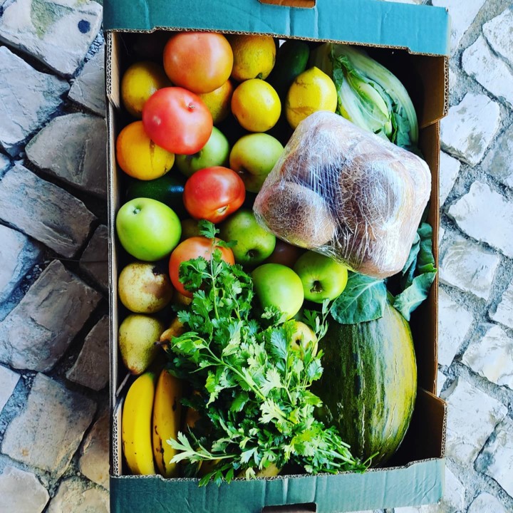 120252516_1826296610843425_1064868078646192129_o.j