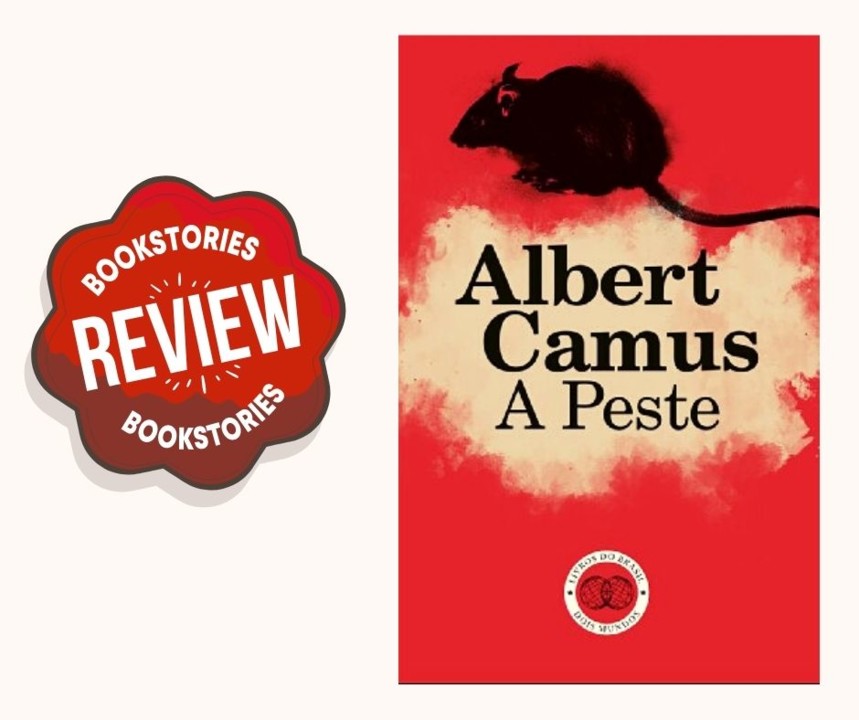 Castanhos Quentes Citação Inspiradora Outono Pos Castanhos Quentes Citação Inspiradora Outono Pos