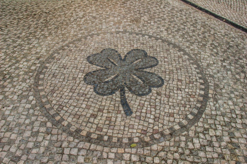 jardim cesario verde 3.jpg