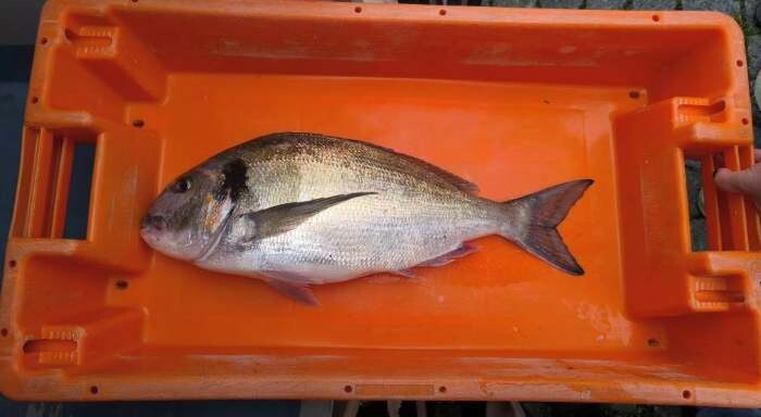 573545698_2679827735686149_2920875148830344884_n.j