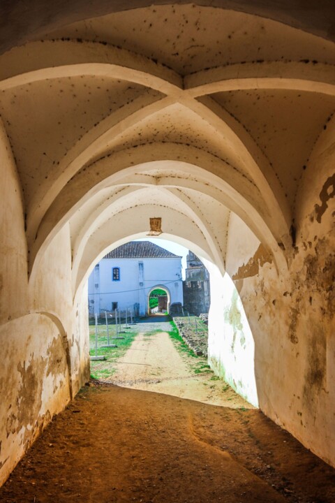 castelo de montemor 24.jpg