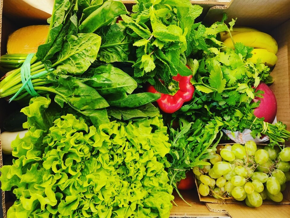 459313884_909946387829439_1396499354861136786_n.jp