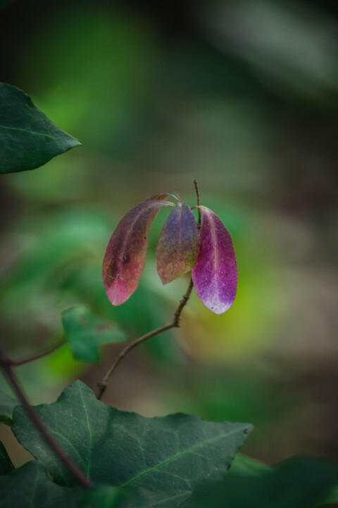 montachique marco 3.jpg