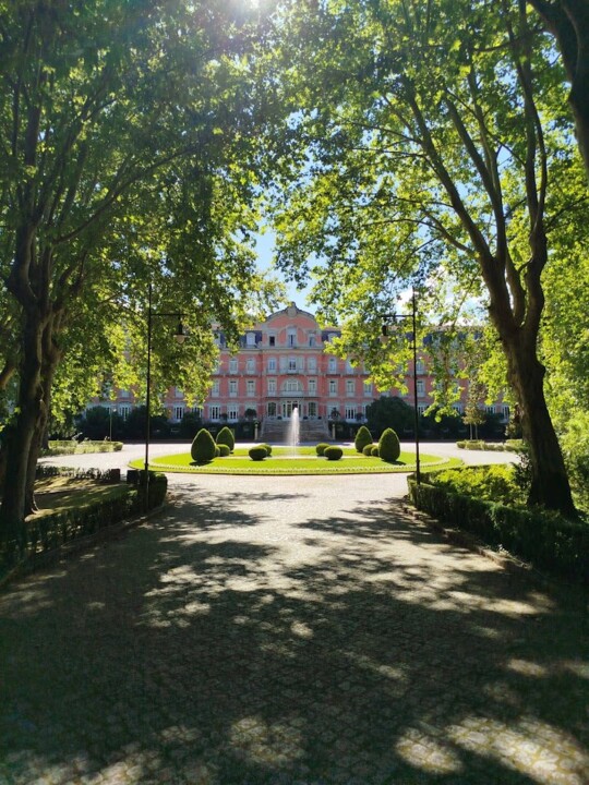 Não me canso disto Vidago.jpg