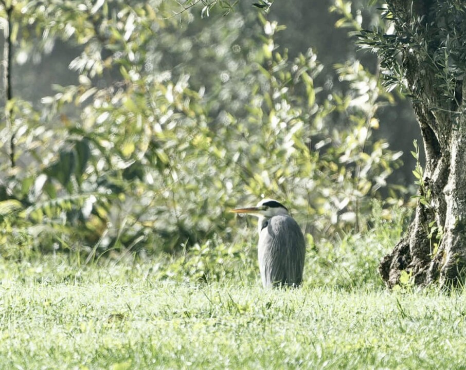 att.A5uqGr15hSBzCCdkNCixtQSuZg2OyeLx9sQkNUwOZMQ.jp