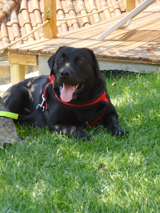 FÉRIAS ARCOS JULHO 2010 113.JPG