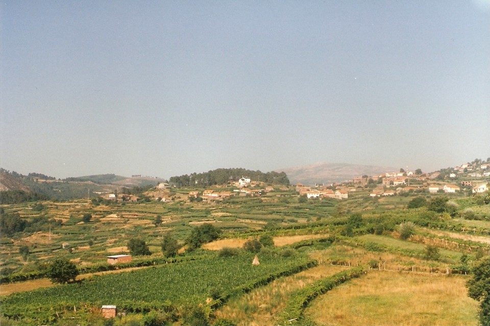 785 - 2 s paio.jpg 785 - 2 s paio.jpg