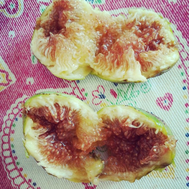 69961383_1456439497829140_5495274955740282880_n.jp