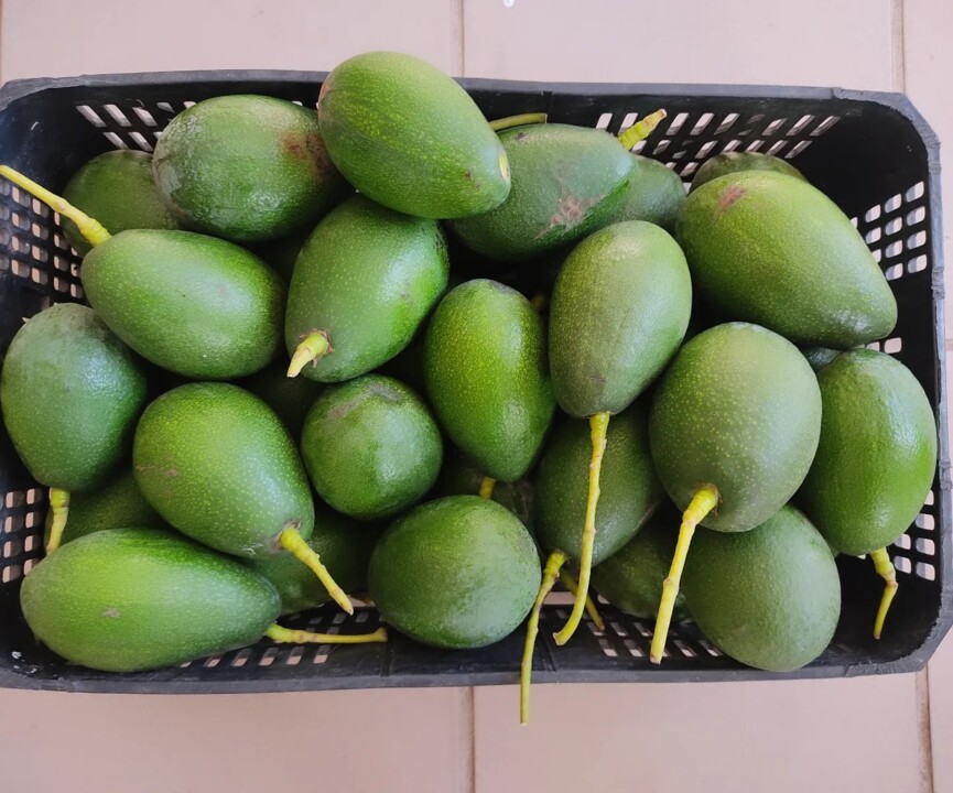 409103613_787675260056553_6286692882929276324_n.jp