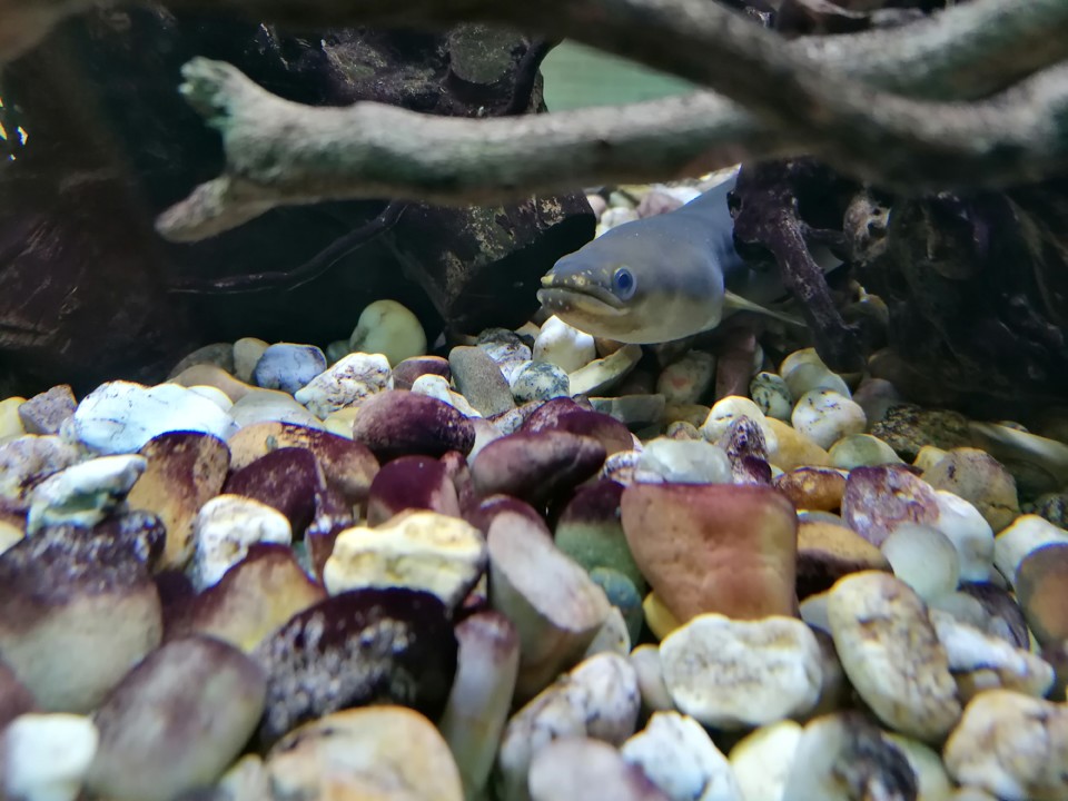 IMG_20200927_174152.jpg IMG_20200927_174152.jpg