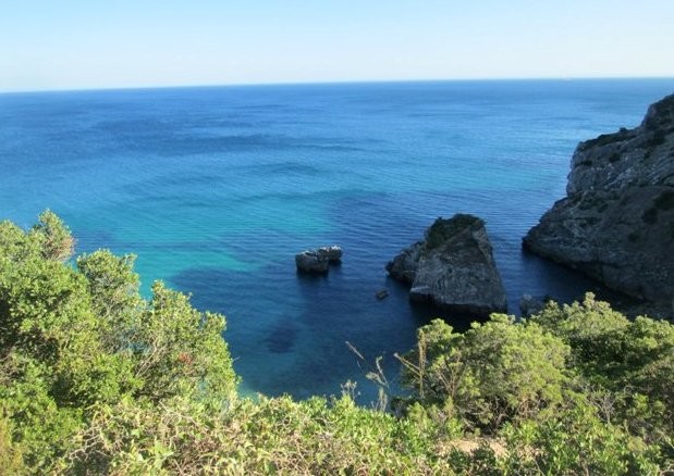 37649322_1737335199715111_5656294623992086528_o.jp