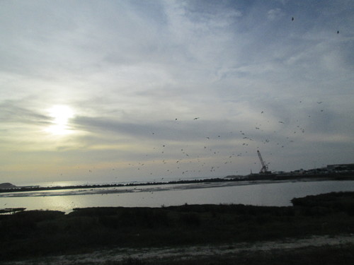 IMG_0974.JPG IMG_0974.JPG