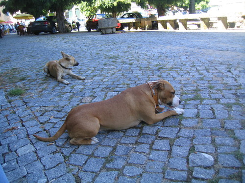 kaya 2 (5).jpg kaya 2 (5).jpg