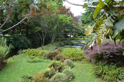 Açores_cam (101).jpg