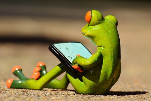 frog-881661__340.jpg