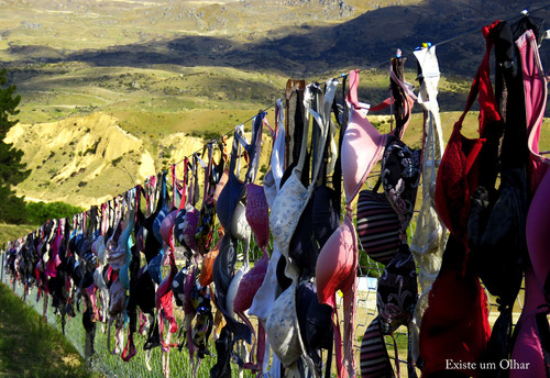 Manuela Existe um olhar.jpeg