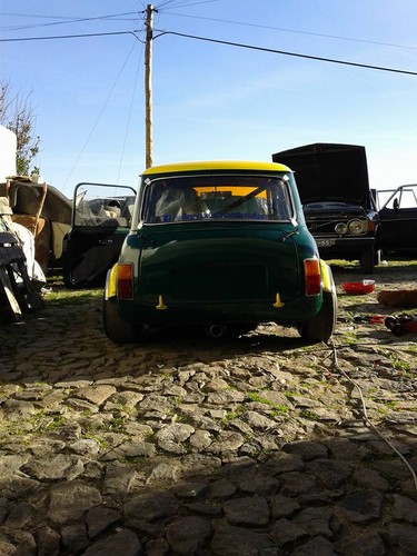 10365781_10153855850498851_5892638578180598797_n.j