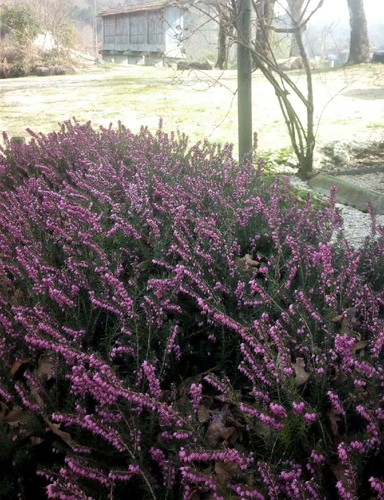 16903535_1240151482737167_1300960291848219407_o-2.