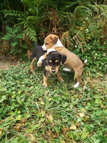 38190310_1084997078330126_8797948624173531136_n.jp