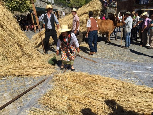 Padornelo Feira dos Tojais s.jpg Padornelo Feira dos Tojais s.jpg