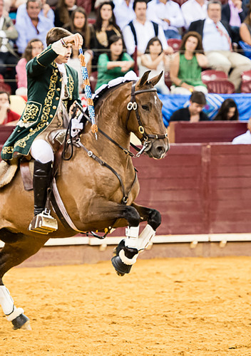 Grandes Lides a Cavalo - C. Pequeno 2015 - 2ª Par