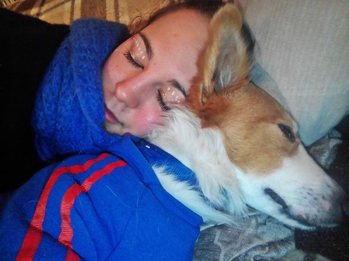 IMG_20161225_004400.jpg IMG_20161225_004400.jpg