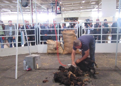 ovi.2016-04-22 019.jpg ovi.2016-04-22 019.jpg