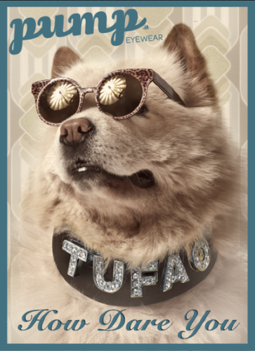 Tufão2015 (8).png