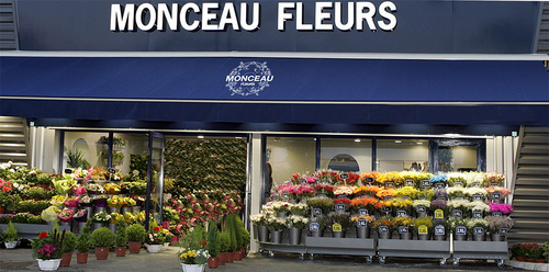 img_frans.png img_frans.png