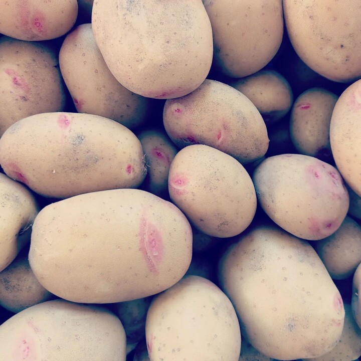 326482559_1561216157638780_7667777096422928814_n.j