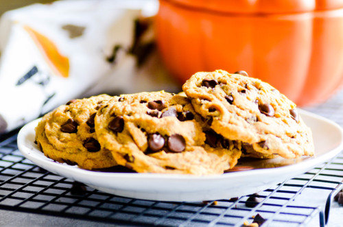 Bolachas de abóbora com pepitas de chocolate