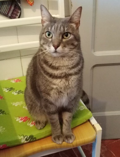 196996638_3051167441822046_6030555786794249977_n.j