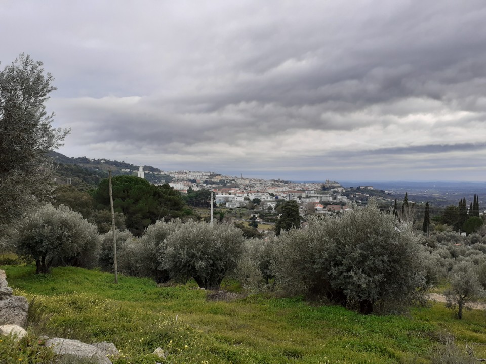 Vista da Cidade. Foto original. 2021.01.08.jpg