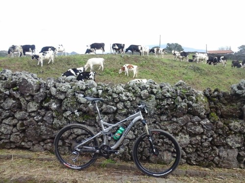 FSRxc_vacas.jpg FSRxc_vacas.jpg