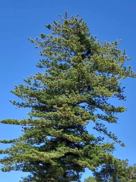 241507112_4223877137727559_898532676356744826_n.jp