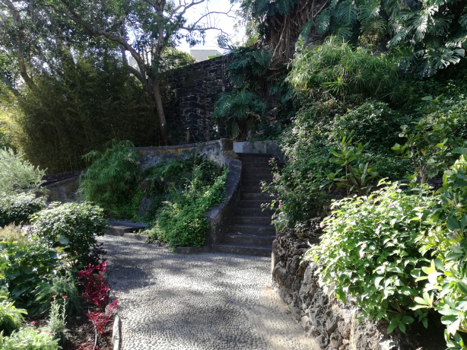 IMG_20191117_113009.jpg IMG_20191117_113009.jpg