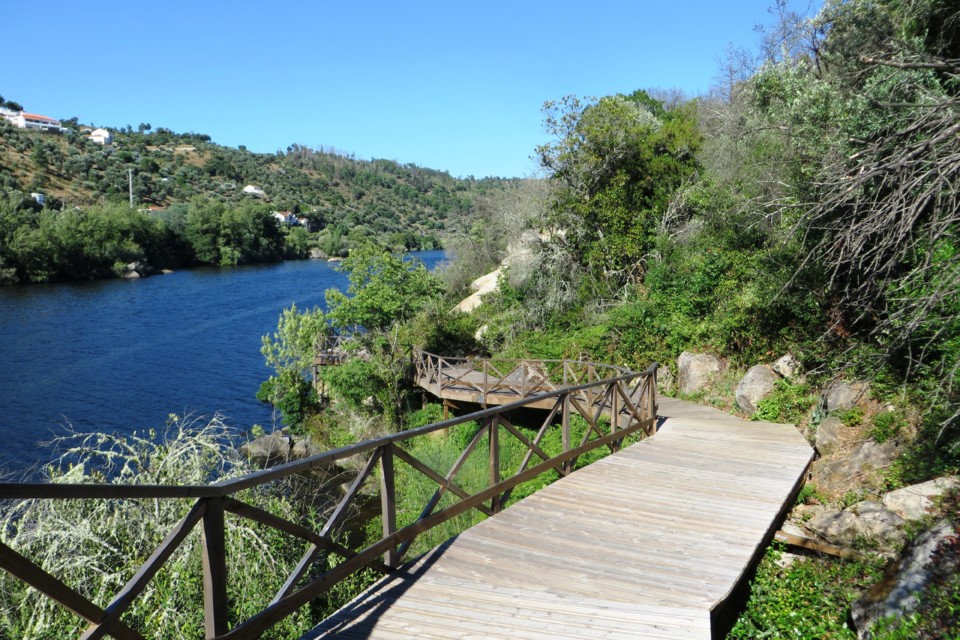 IMG_1705 - Cópia.JPG