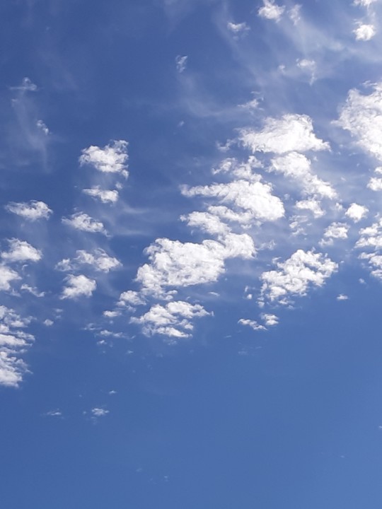 20200831_100409.jpg 20200831_100409.jpg