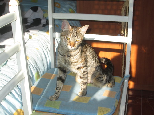 IMG_3474.JPG IMG_3474.JPG