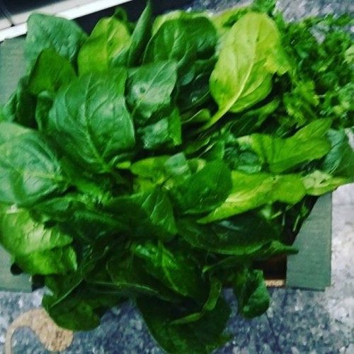 26109286_1564605126909123_6990124149721006080_n.jp