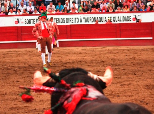 Álvaro Dentinho ficou-se pela intenção...