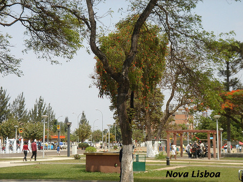 nova lisboae.jpg