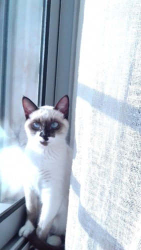 20180106_150814.jpg 20180106_150814.jpg