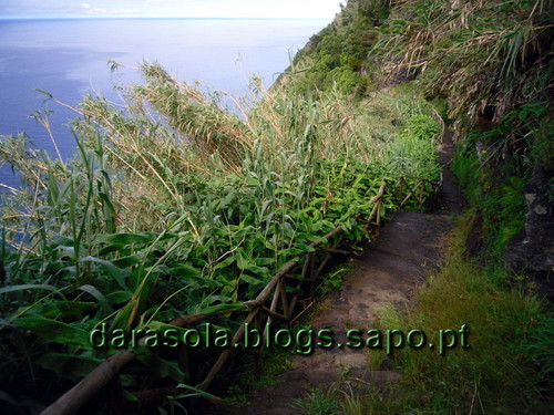 azores_flores_faja_lopo_Vaz_07.JPG azores_flores_faja_lopo_Vaz_07.JPG